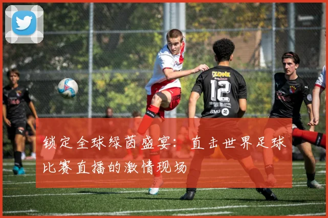 锁定全球绿茵盛宴：直击世界足球比赛直播的激情现场